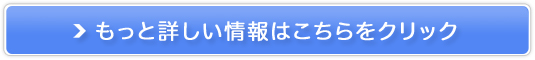 DP̏[[ t[i[T|[g[[̔TCg